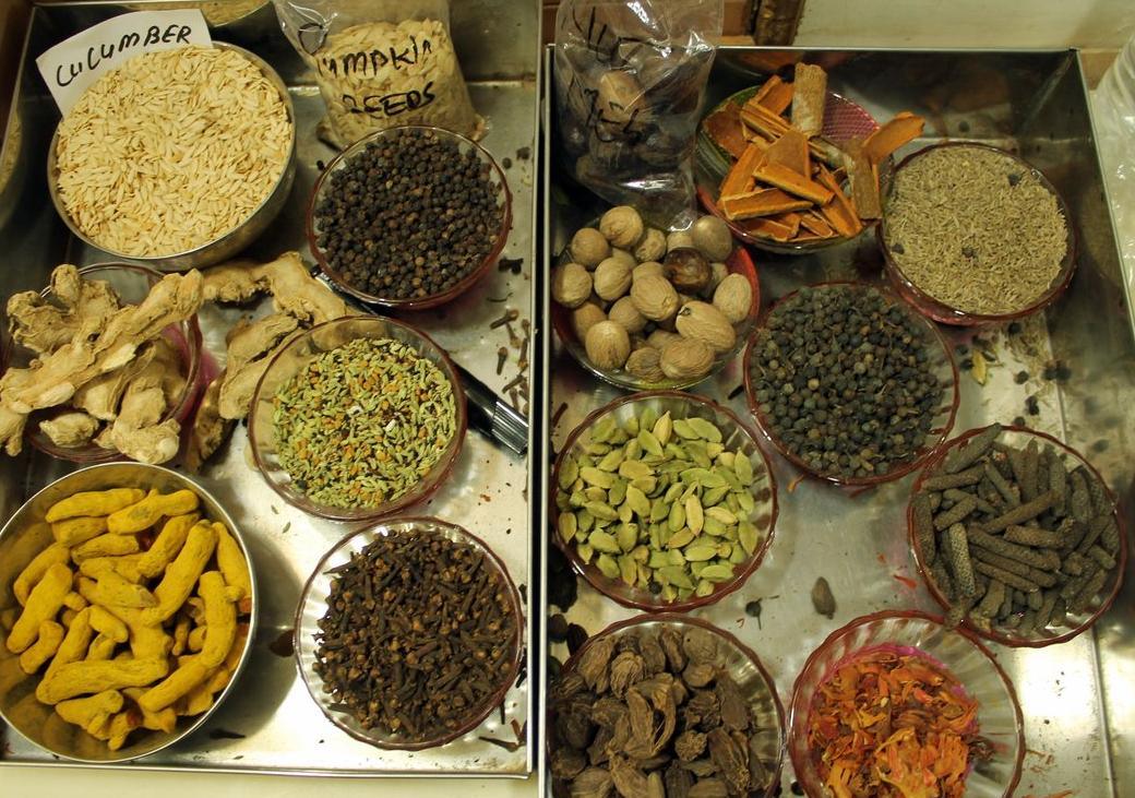 learning food tour with a chef