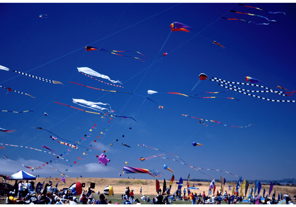 Kite Flying in the heart of Old Delhi